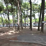In Po Delta Park With Access