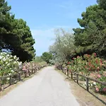 Ferienhaus In Po Delta Park With Access