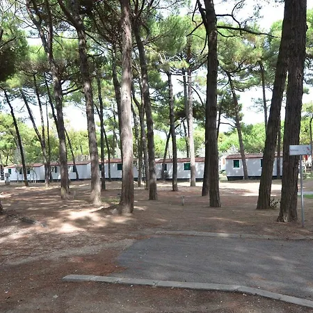 In Po Delta Park With Access