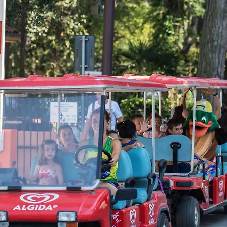 In Po Delta Park With Access