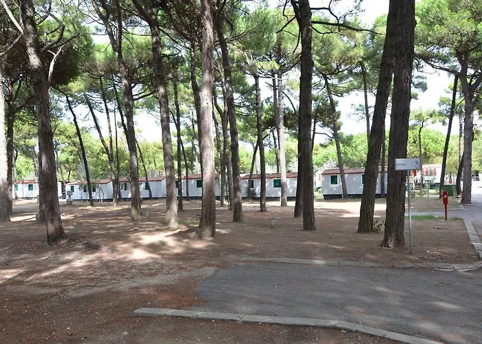 In Po Delta Park With Access